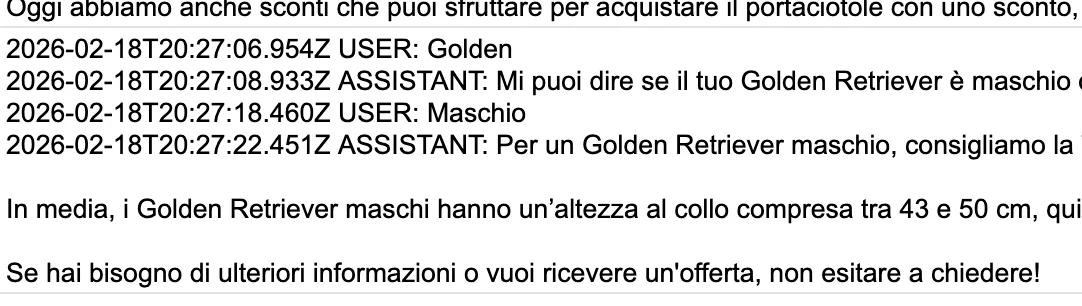Trascrizione automatica di una conversazione del chatbot